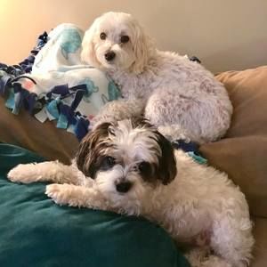 Meet your Posher, Connie